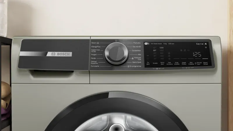 Serie 6 WGK252ZXTR Çamaşır Makinesi 10 kg maks., Gümüş